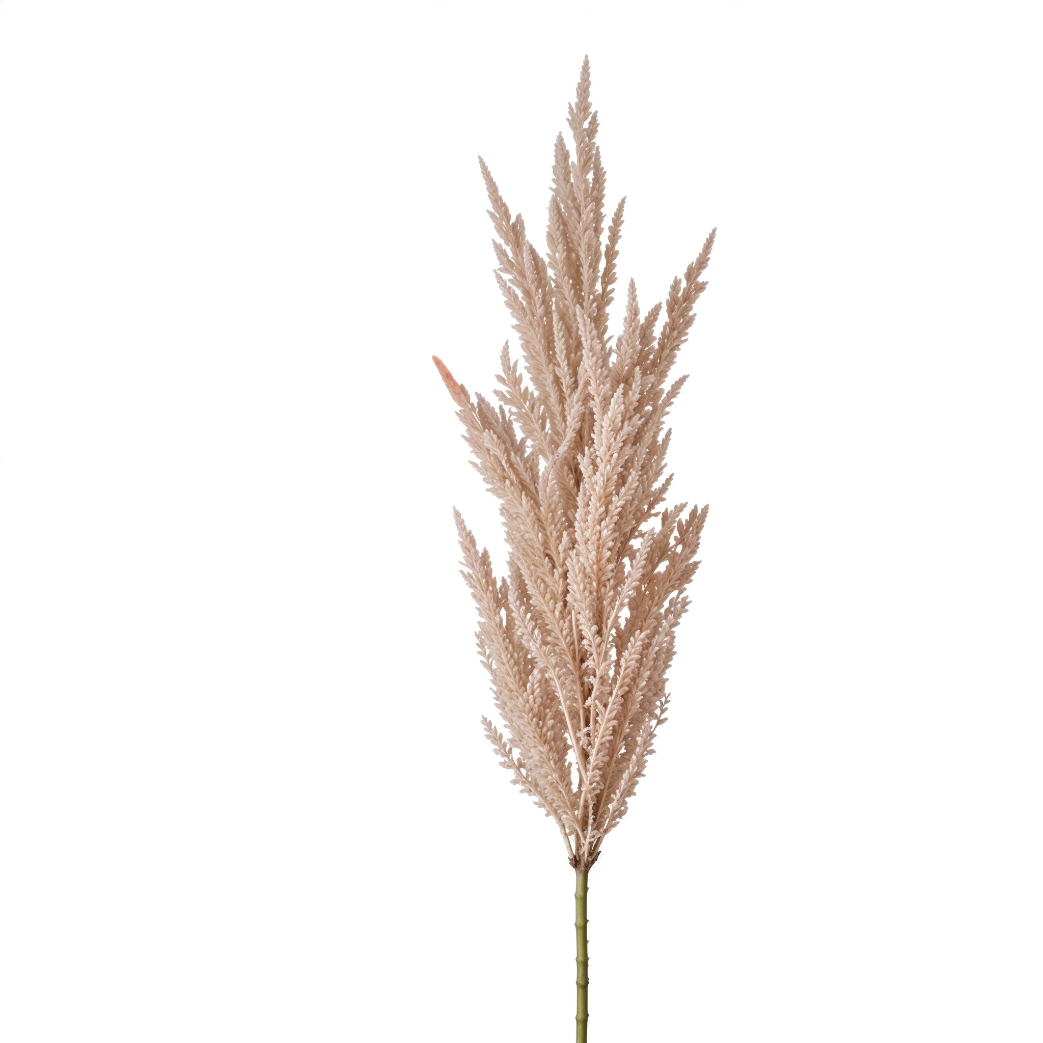 🌾 Branche Décorative Herbe de Pampa – Rose Pâle | Carton de 22 unités