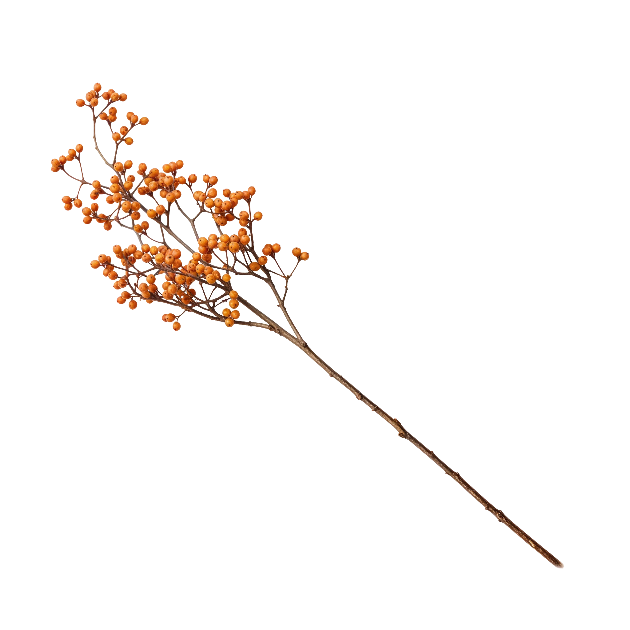 🍁 Branche Décorative à Baies – Orange Éclatant | Carton de 12 unités