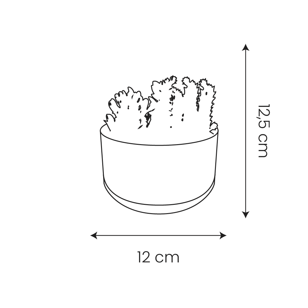 🌱 Plante Artificielle Succulente – Pot en Porcelaine | Carton de 6 unités
